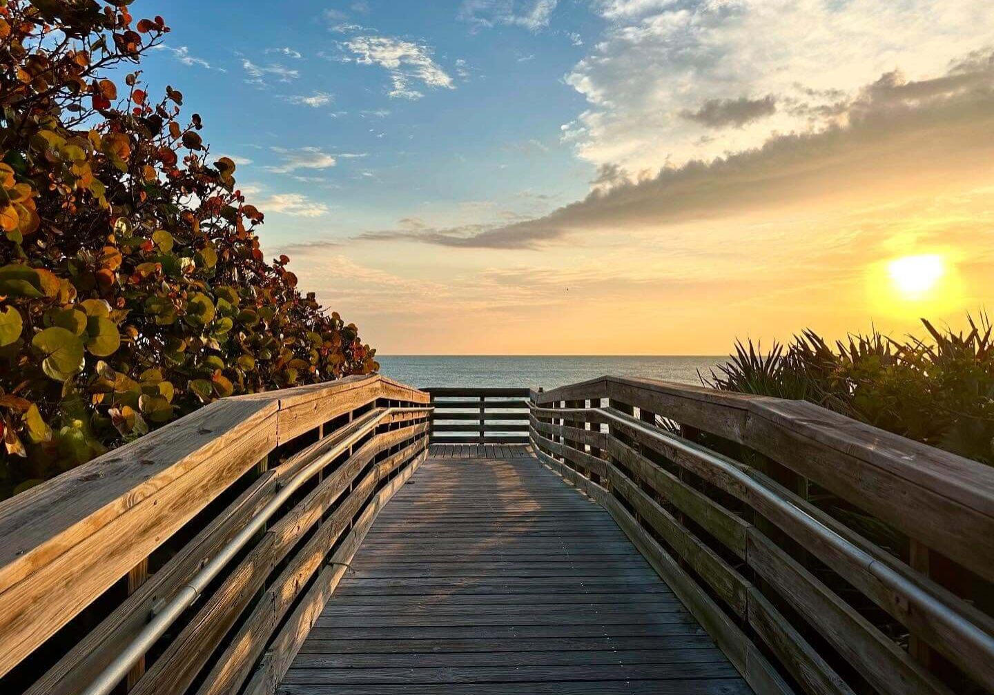 Photo Credit jimdavisphotography